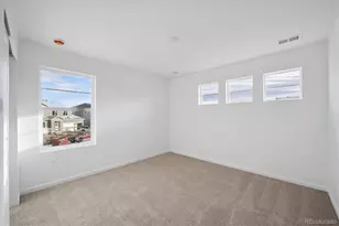 5717 Brangus Dr, Windsor, CO 80528 - Photo 19