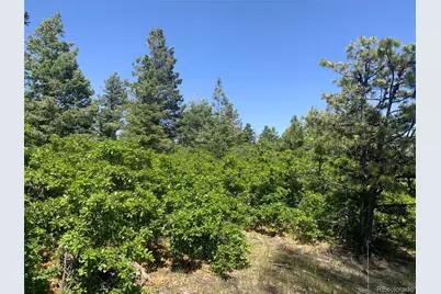 Peak View Ridge, Canon City, CO 81212 - Photo 9