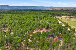 7585 Juniper Dr, Colorado Springs, CO 80908 - Photo 41