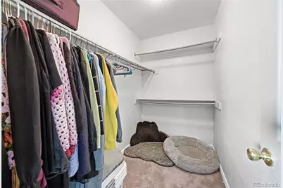 5055 Weeping Willow Circle, Highlands Ranch, CO 80130 - Photo 21