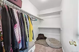 5055 Weeping Willow Cir, Highlands Ranch, CO 80130 - Photo 21