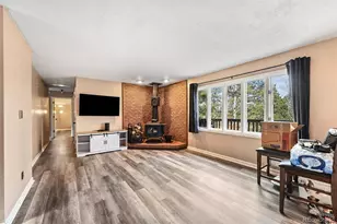 312 S Pine Dr, Bailey, CO 80421 - Photo 7