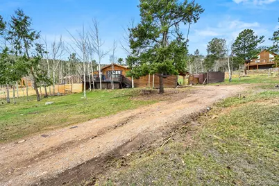 312 S Pine Drive, Bailey, CO 80421 - Photo 3