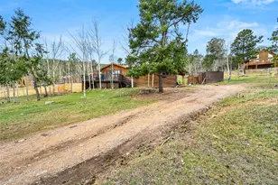 312 S Pine Dr, Bailey, CO 80421 - Photo 3
