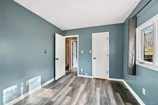 312 S Pine Dr, Bailey, CO 80421 - Photo 21