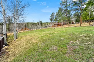 312 S Pine Dr, Bailey, CO 80421 - Photo 27