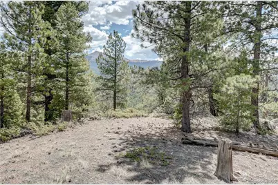 59 Robin Point, Divide, CO 80814 - Photo 27
