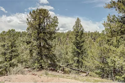 59 Robin Point, Divide, CO 80814 - Photo 25