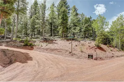 59 Robin Point, Divide, CO 80814 - Photo 13