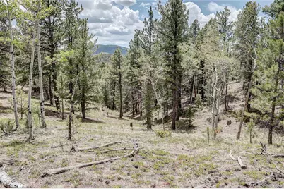 59 Robin Point, Divide, CO 80814 - Photo 7