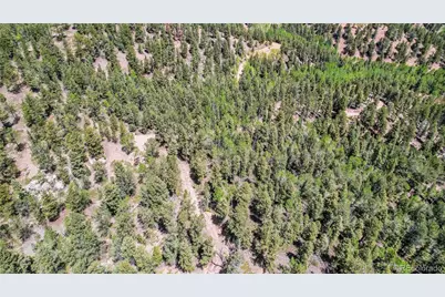 59 Robin Point, Divide, CO 80814 - Photo 21