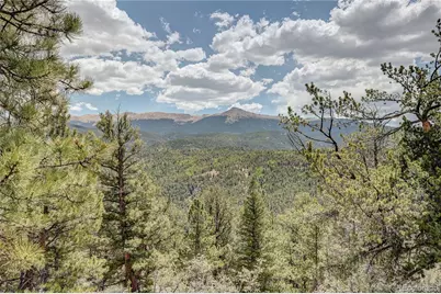 59 Robin Point, Divide, CO 80814 - Photo 29