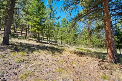 5463 High Park Road, Florissant, CO 80816 - Photo 39
