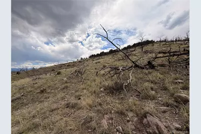 000 J Path, Cotopaxi, CO 81223 - Photo 3