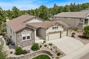 968 Tree Bark Terrace, Colorado Springs, CO 80921 - Photo 3