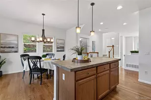 789 Bristle Pine Cir, Highlands Ranch, CO 80129 - Photo 7