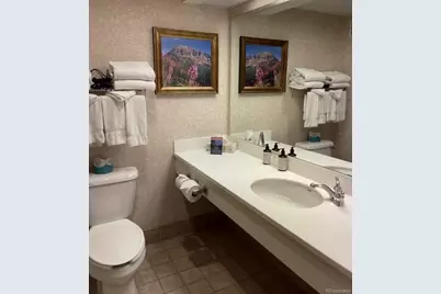 6 Emmons Road #269, Crested Butte, CO 81225 - Photo 5