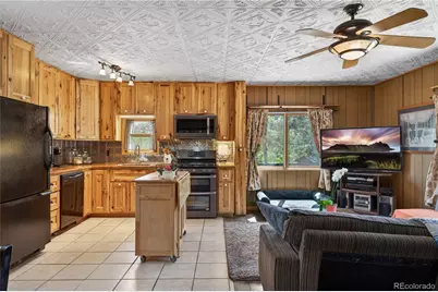 256 Houston Street, Bailey, CO 80421 - Photo 13