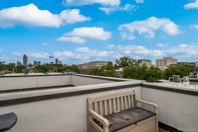 1752 N Williams Street, Denver, CO 80218 - Photo 33