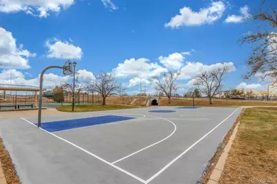 8804 Princeton Street, Westminster, CO 80031 - Photo 25