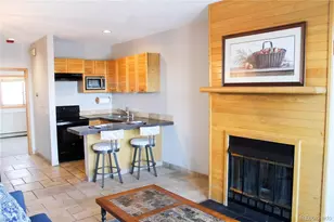 91400 Ryan Gulch Rd, Silverthorne, CO 80498 - Photo 3