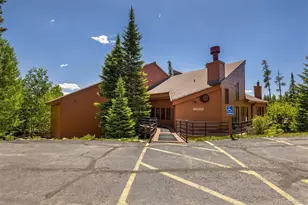 91400 Ryan Gulch Rd, Silverthorne, CO 80498 - Photo 15