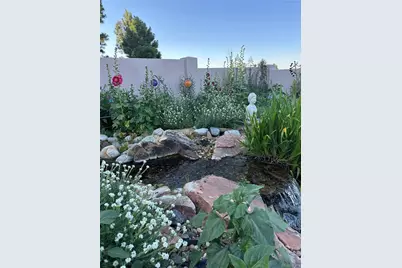 6698 Condor Run, Littleton, CO 80125 - Photo 47