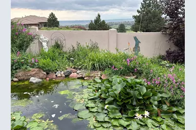 6698 Condor Run, Littleton, CO 80125 - Photo 45