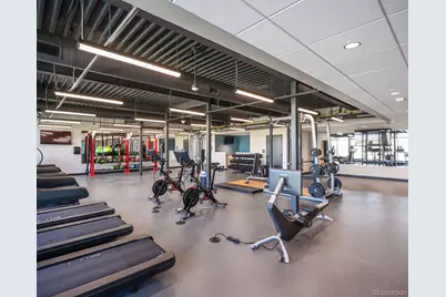 3269 Offbeaten Place, Castle Rock, CO 80108 - Photo 49