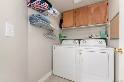 10075 Silver Maple Road, Highlands Ranch, CO 80129 - Photo 29