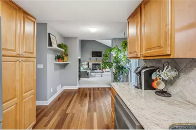 4316 Liverpool Street, Denver, CO 80249 - Photo 9