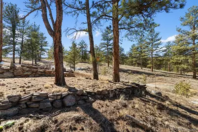 45 Conductor Lane, Lake George, CO 80827 - Photo 39