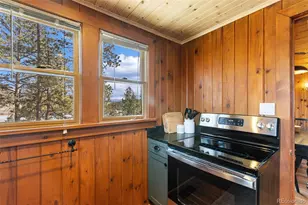 45 Conductor Ln, Lake George, CO 80827 - Photo 15