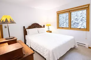 132 Burgundy Cir, Silverthorne, CO 80498 - Photo 29