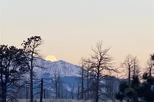 1456 Von Heyl Ln, Fort Garland, CO 81133 - Photo 31