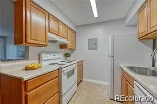 381 S Ames St, Lakewood, CO 80226 - Photo 7