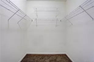 3727 Cactus Creek Ct, Highlands Ranch, CO 80126 - Photo 29