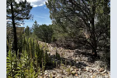 1380&1410 Oak Drive, Westcliffe, CO 81252 - Photo 7