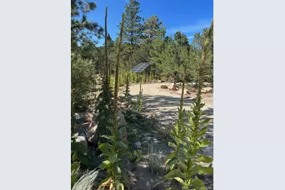 1380&1410 Oak Drive, Westcliffe, CO 81252 - Photo 15