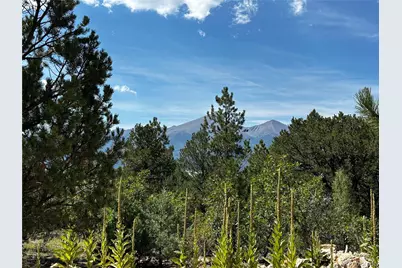 1380&1410 Oak Drive, Westcliffe, CO 81252 - Photo 3