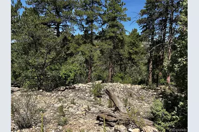 1380&1410 Oak Drive, Westcliffe, CO 81252 - Photo 5