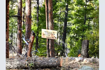 290 Skyhill Dr, Evergreen, CO 80439 - Photo 7