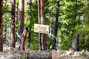 290 Skyhill Dr, Evergreen, CO 80439 - Photo 7