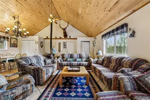 142 June Ln, Hartsel, CO 80449 - Photo 7