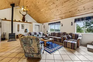 142 June Ln, Hartsel, CO 80449 - Photo 5