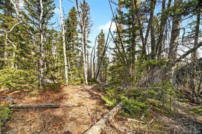 Georgia Pass Lookout Rd, Jefferson, CO 80456 - Photo 5