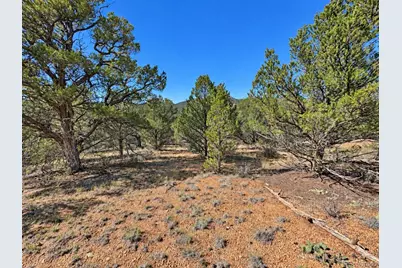 103 Cheyenne Court, Cotopaxi, CO 81223 - Photo 7