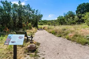 564 Vista Dr, Castle Rock, CO 80104 - Photo 37