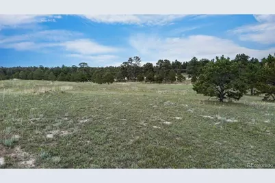 11809 Flap Jack Lane, Colorado Springs, CO 80908 - Photo 9