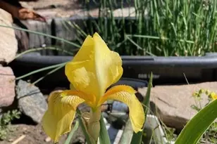 2613 Pheasant Loop, Westcliffe, CO 81252 - Photo 29